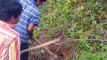 Wow! Brave Boys Catch Village Snake In The Hole, How To Catch Snake In Cambodia