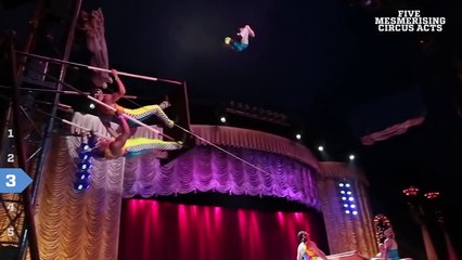 Five Mesmerizing Circus Arts!