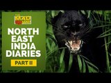 The MAD NoMAD Ep# 002 Black Panther Attacks in Darjeeling ! Experience Darjeeling like never before
