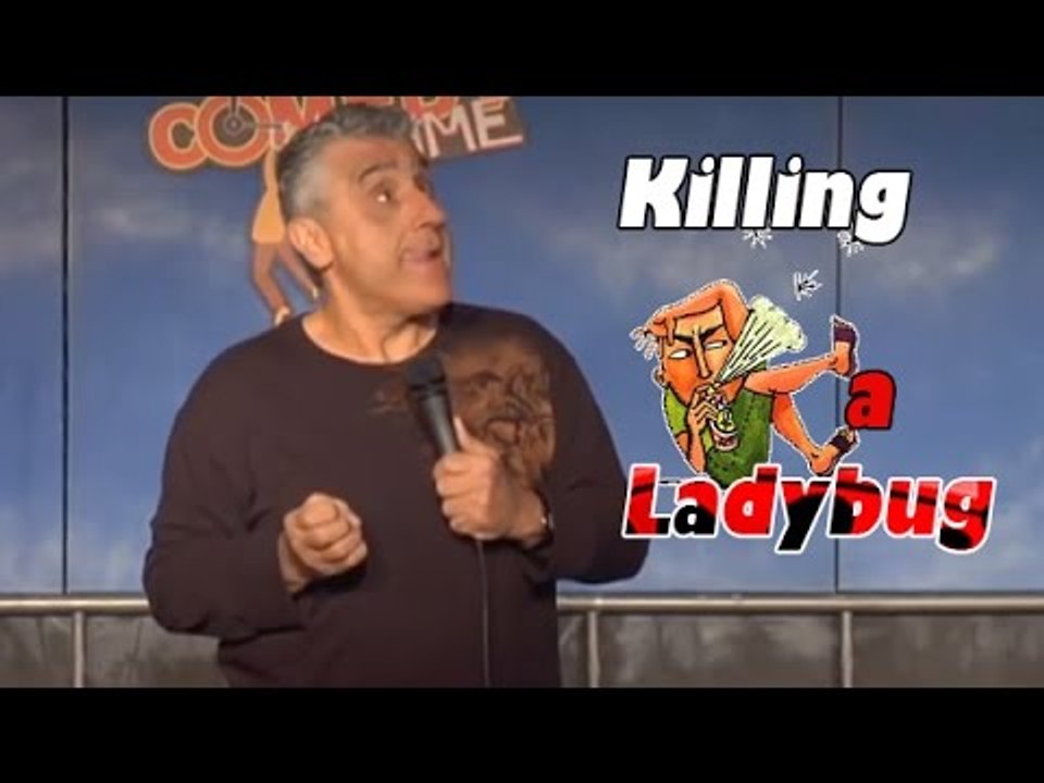Killing a Ladybug at 90 MPH! - Comedy Time