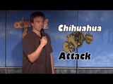 Chihuahua Attack! (Stand Up Comedy)