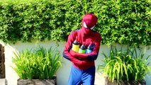 Spiderman Learn Colors With Toilet Poop Frozen Elsa Motorbike Accident Joker Hulk in Real Life