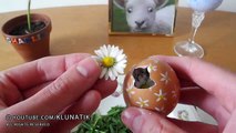 Special EASTER eggs for lunch! Kluna Tik Dinner #60 _ ASMR eating sounds no talk-Me_sGUN-jjY