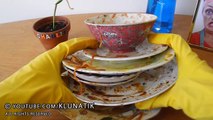 Kluna Tik doing the DISHES!!! Kluna Tik Dinner #48 _ ASMR eating sounds no talk-ScLJFkF7CkE