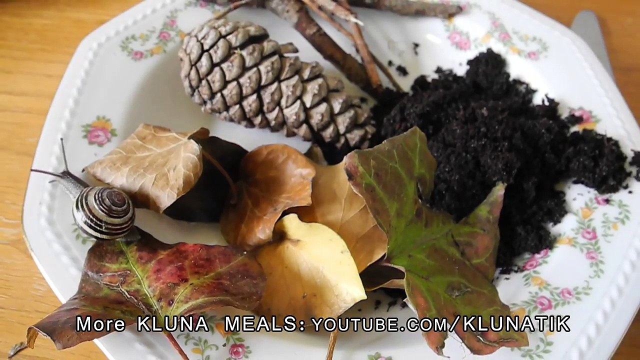Kluna eating FOREST food! - Kluna Tik Dinner #16 _ ASMR eating sounds no talk-bQ8S0jz6uuc