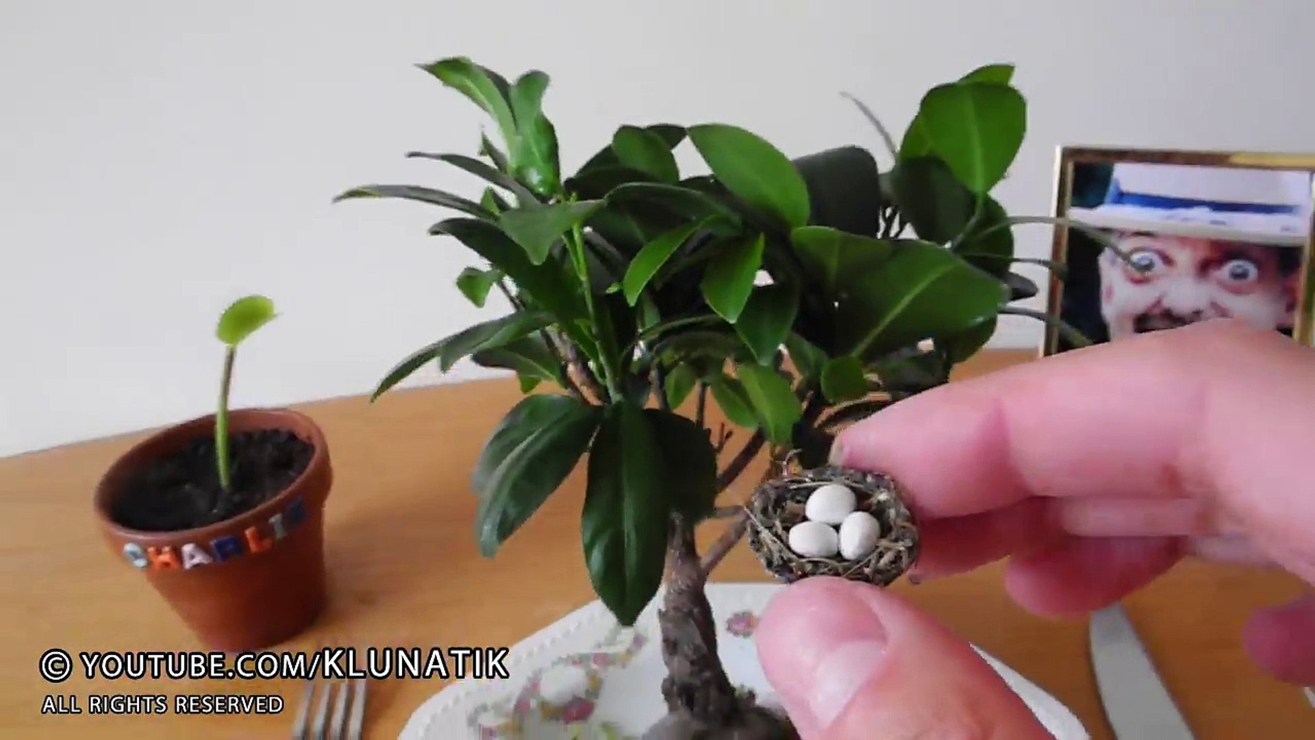 ⁣BABY BIRD NEST for LUNCH  Kluna Tik Dinner #87 _ ASMR eating sounds no talk-sbsDBUiZSI4