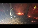 Firefighters Battle Blazes in North Italian Forest Park
