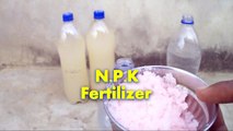 How to make Liquid Fertilizer at Home / तरल ऊर्वरक कैसे बनाये / Gardening Tips /Mammal Bonsai