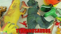 20 Tyrannosaurus Toys Box - Dinosaur Collection Of Tyrannosaurus Rex- T Rex Toys For Kids 티라노 장난감 상자