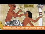 Fakta Unik Tentang Peradaban Mesir Kuno