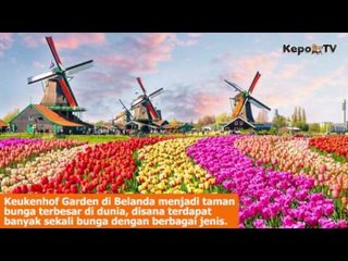 5 Taman Bunga dengan Keindahan yang Luar Biasa