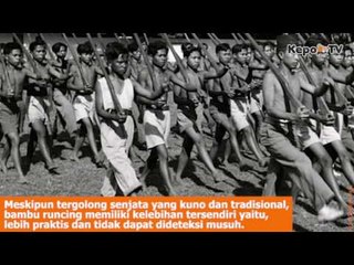 Fakta Bambu Runcing Sebagai Alat Perang Bangsa Indonesia