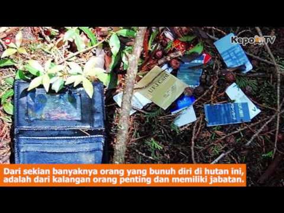 Fakta Tentang Hutan Aokigahara, Tempat Favorit Bunuh Diri di Jepang