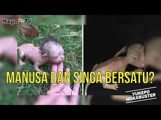 HASIL HUBUNGAN GELAP ANTARA MANUSIA DAN HEWAN? #YukepoHoaxbuster