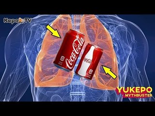 SODA BISA MEMBERSIHKAN PARU-PARU? || 5 MITOS SEPUTAR MINUMAN SODA #YukepoMythbuster