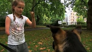 Young animal hero trains puppies for police-ciZzubb-tJ0