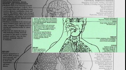 Recognizing the Symptoms of Synthetic Drugs 🚨