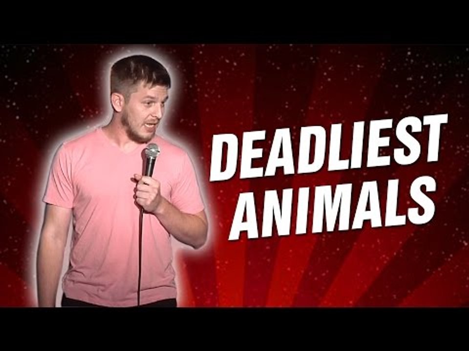 Deadliest Animals (Stand Up Comedy)
