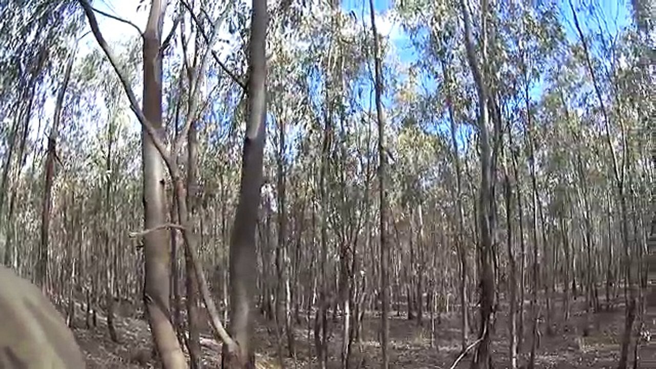 A day hunting in my crocs