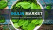 Inulin Market Trends, Share, Revenue, Analysis 2017-2024