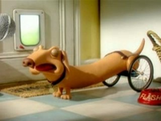 Creature Discomforts