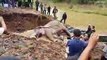 Elephant is rescued after spending a DAY trapped in flooded river