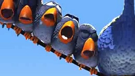 AnimaSi Narkoba Animasi lucu burung comel Video Dailymotion