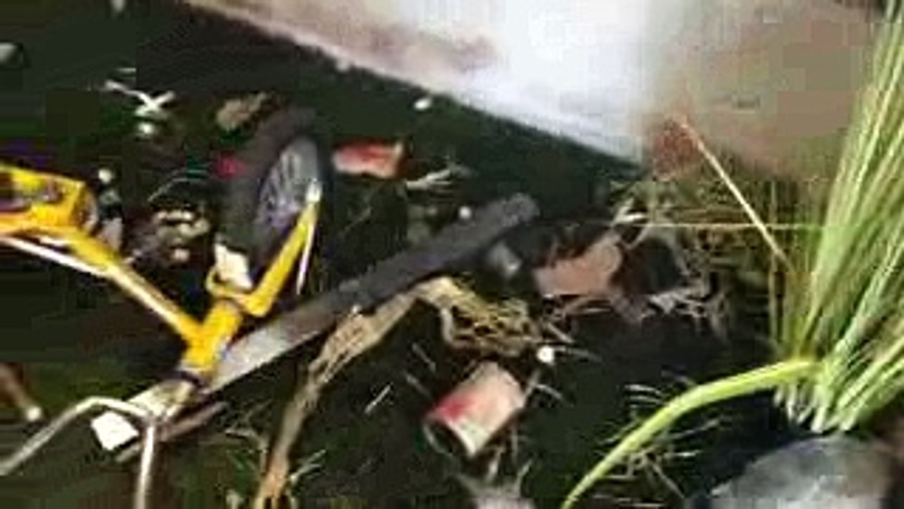 German Comic Con Berlin 2017.The Walking Dead