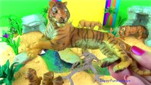 Cute Toy Animals - Lion Tiger Leopard Apes Monkeys Learn about Animals in English