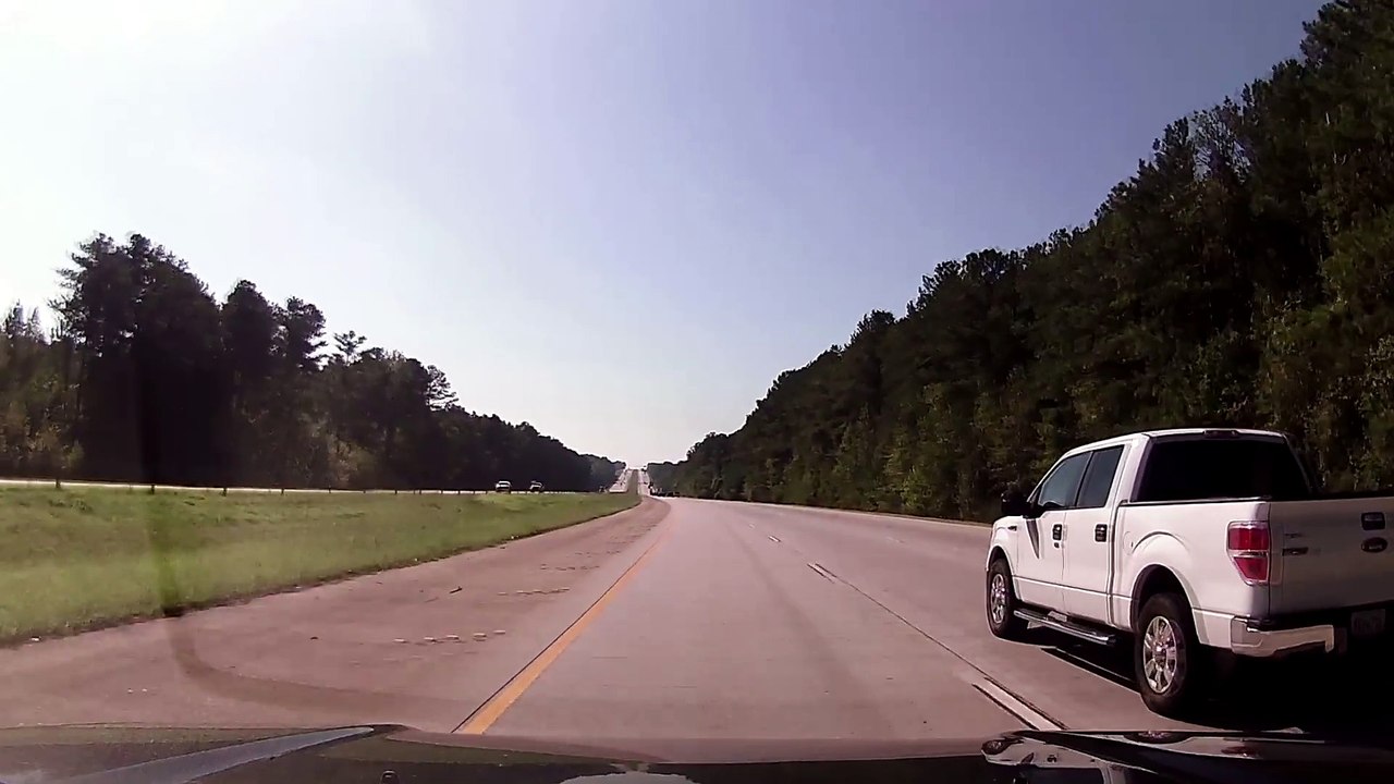 Un conducteur percute un Emeu en plein milieu de l'autoroute
