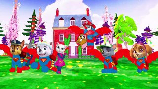 Paw Patrol Transforms Into Superman - Paw Patrol Saves Tom and Jerry Cartoon Nursery Rhymes