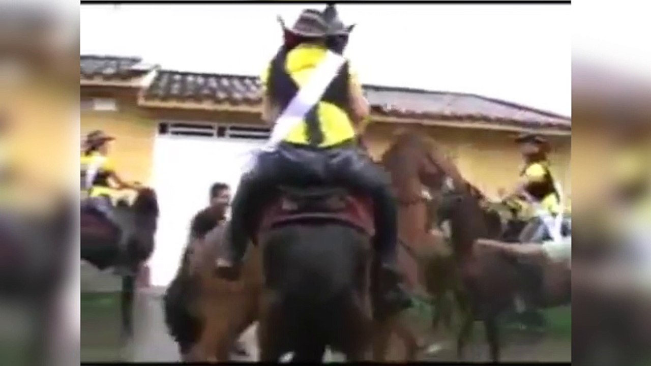 Ce cheval est un peu trop chaud !