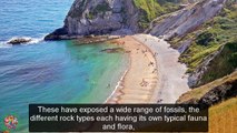 Top Tourist Attractions Places To Visit In UK-England | Jurassic Coast Destination Spot - Tourism in UK-England