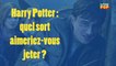 Harry Potter : quel sort aimeriez-vous jeter ?