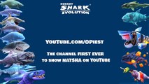 Hungry Shark Evolution All Sharks Information - Everything you need to know about all the sharks