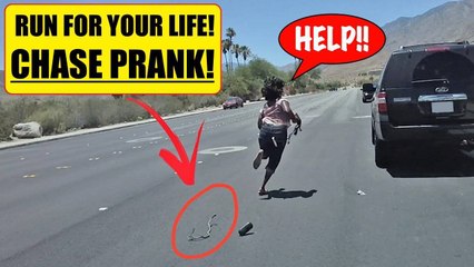 Epic Snake Chase Prank by stranger