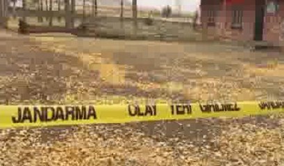 Okul bahçesinde ağaç devrildi: 1 ölü