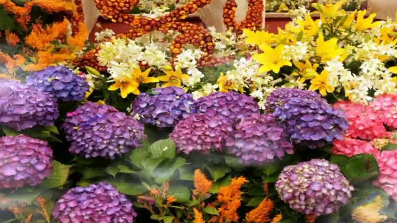 জানি না কত সুন্দর তুমি আল্লাহ! -Bangla Islamic song