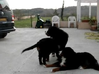 la troupe au complet !