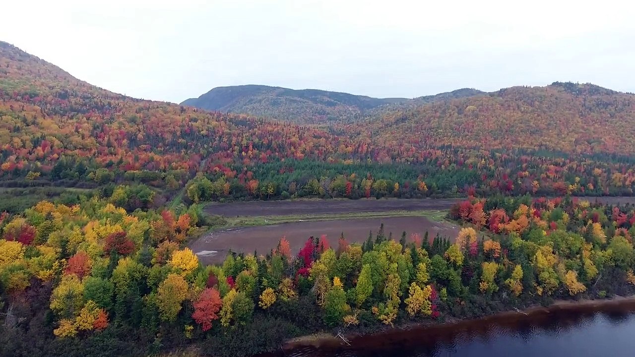 Drone Footage Shows Autumn Foliage in Newfoundland Dailymotion Video