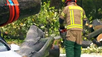 Temporal azota Alemania y deja al menos 3 muertos