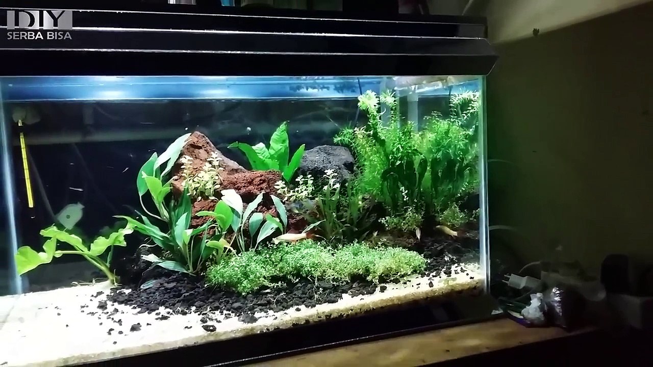 DIY - Cara membuat lampu Aquascape dengan led 10watt kali 6 (sesuai kebutuhan)
