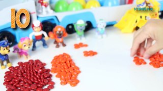 Paw Patrol Surprise Eggs Counting 500 M&Ms