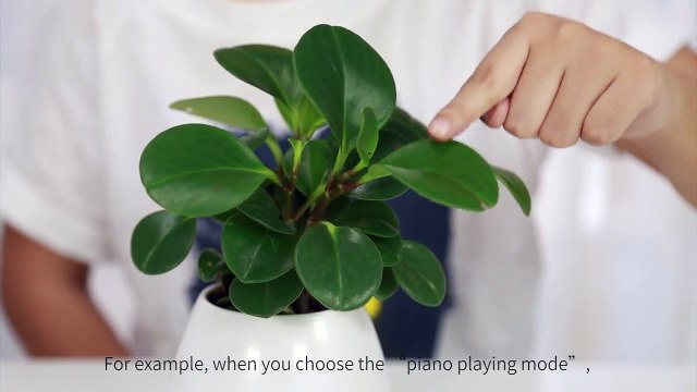 Tokqi Flowerpot Colorful LED Night Light Smart Touch Music Plant Lamp