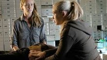 The Gifted Season 1, Episode 5: BoXed In - Full Watch Online