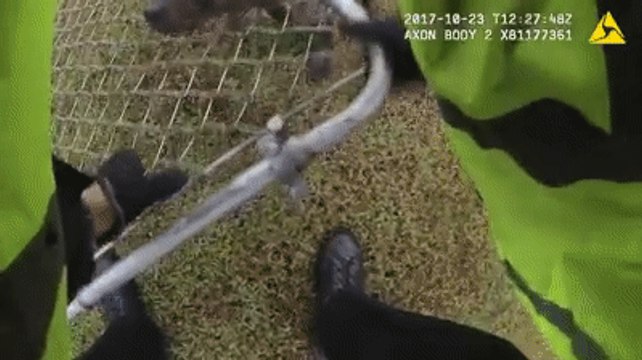 South Carolina Police Officer Rescues Dog With Head Stuck in Fence