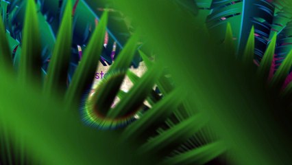 Pachamama - Pachamama