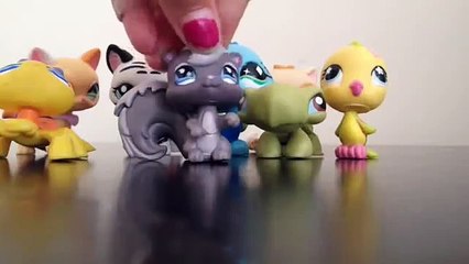 LPS- Summer Camp part 2