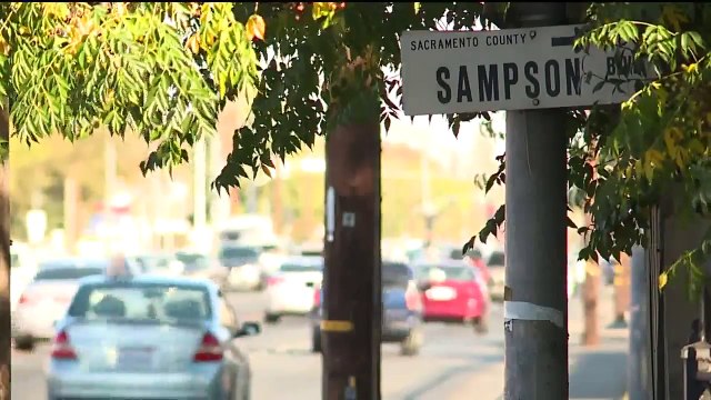 Woman Says Empty Field Has Become a Dumping Ground for Animals