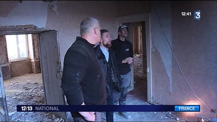 Champignons : en Bretagne, la mérule ravage les bâtiments